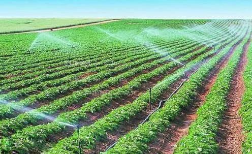 女人骚穴视频农田高 效节水灌溉